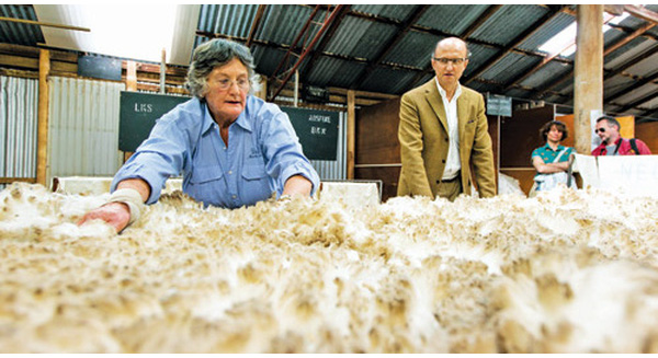 Австралия высоко оценила потенциал вьетнамского рынка